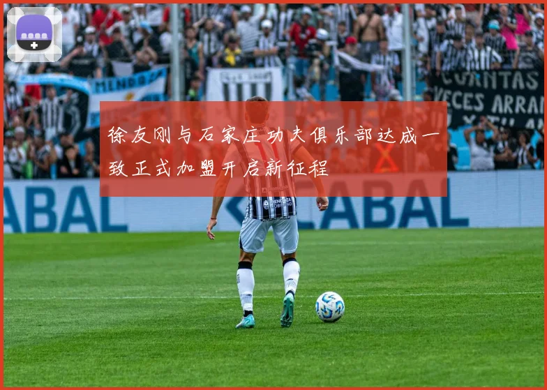 徐友刚与石家庄功夫俱乐部达成一致正式加盟开启新征程