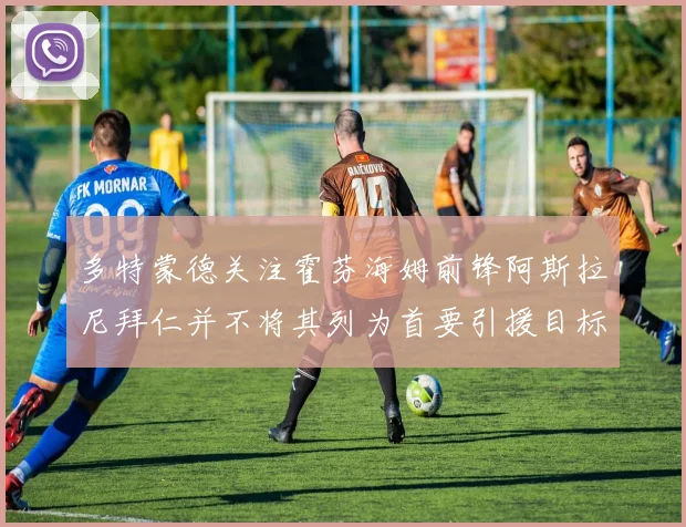 多特蒙德关注霍芬海姆前锋阿斯拉尼拜仁并不将其列为首要引援目标