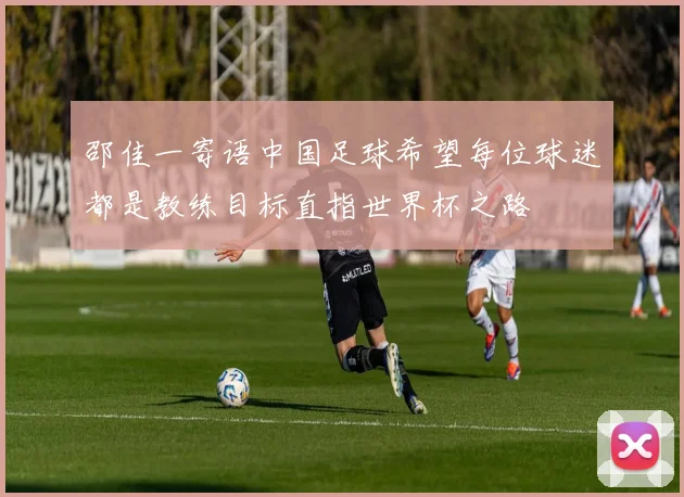 邵佳一寄语中国足球希望每位球迷都是教练目标直指世界杯之路