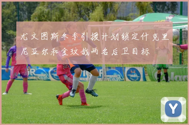 尤文图斯冬季引援计划锁定什克里尼亚尔和金玟哉两名后卫目标