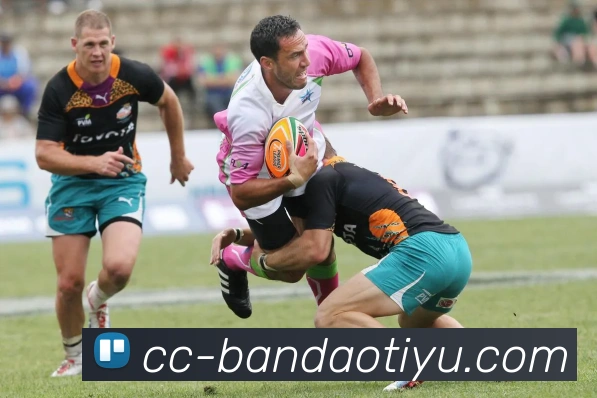 半岛体育平台生态图