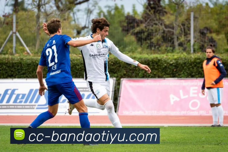 半岛体育全站App